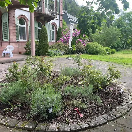 Hotell Residential&guesthouse Living Fuerstenbau Bad Rippoldsau-Schapbach