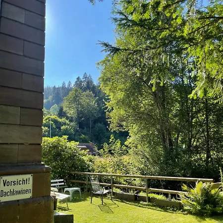 Hotel Residential&guesthouse Living Fuerstenbau Bad Rippoldsau-Schapbach